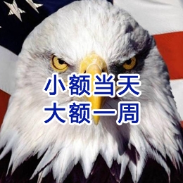 麦盖提要账公司